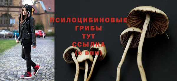 винт Армянск