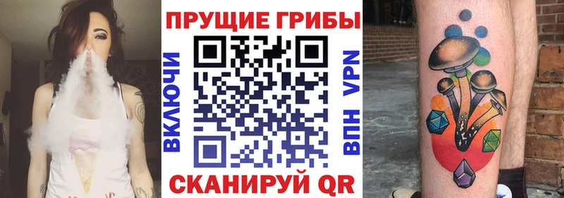 Купить где  Сосновый Бор  Псилоцибиновые грибы мухоморы 